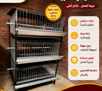 بطاريات دواجن تسمين