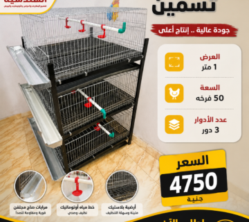 بطاريات دواجن تسمين