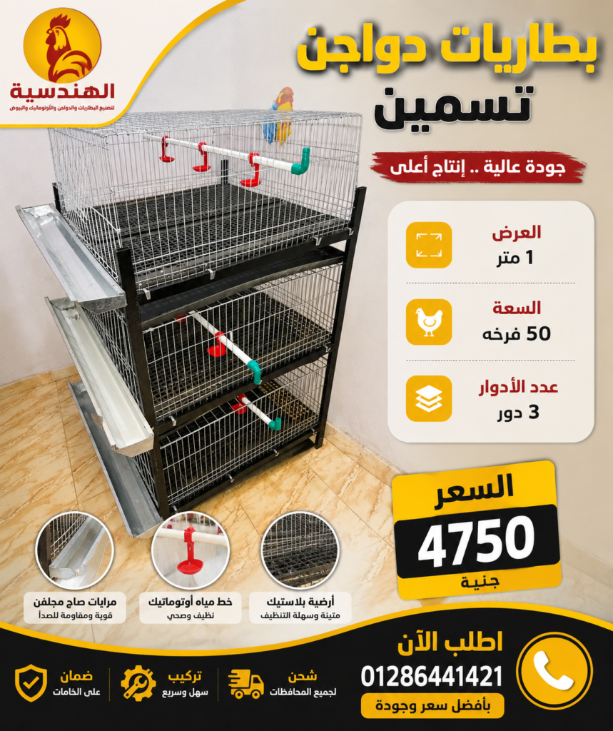 بطاريات دواجن تسمين