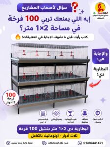 بطاريه الدواجن التسمين عرض متر في طول 2 م بتشيل 100 فرخ ثلاث ادوار 