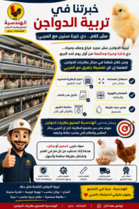 🐔 خبرتنا في تربية الدواجن… مش كلام، دي خبرة سنين مع المربي 💪