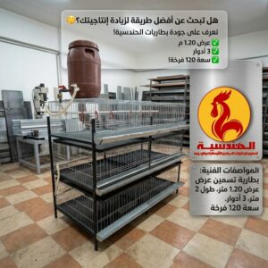 بطاريه الدواجن التسمين